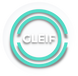 Official LEI Registration Agent - GLEIF